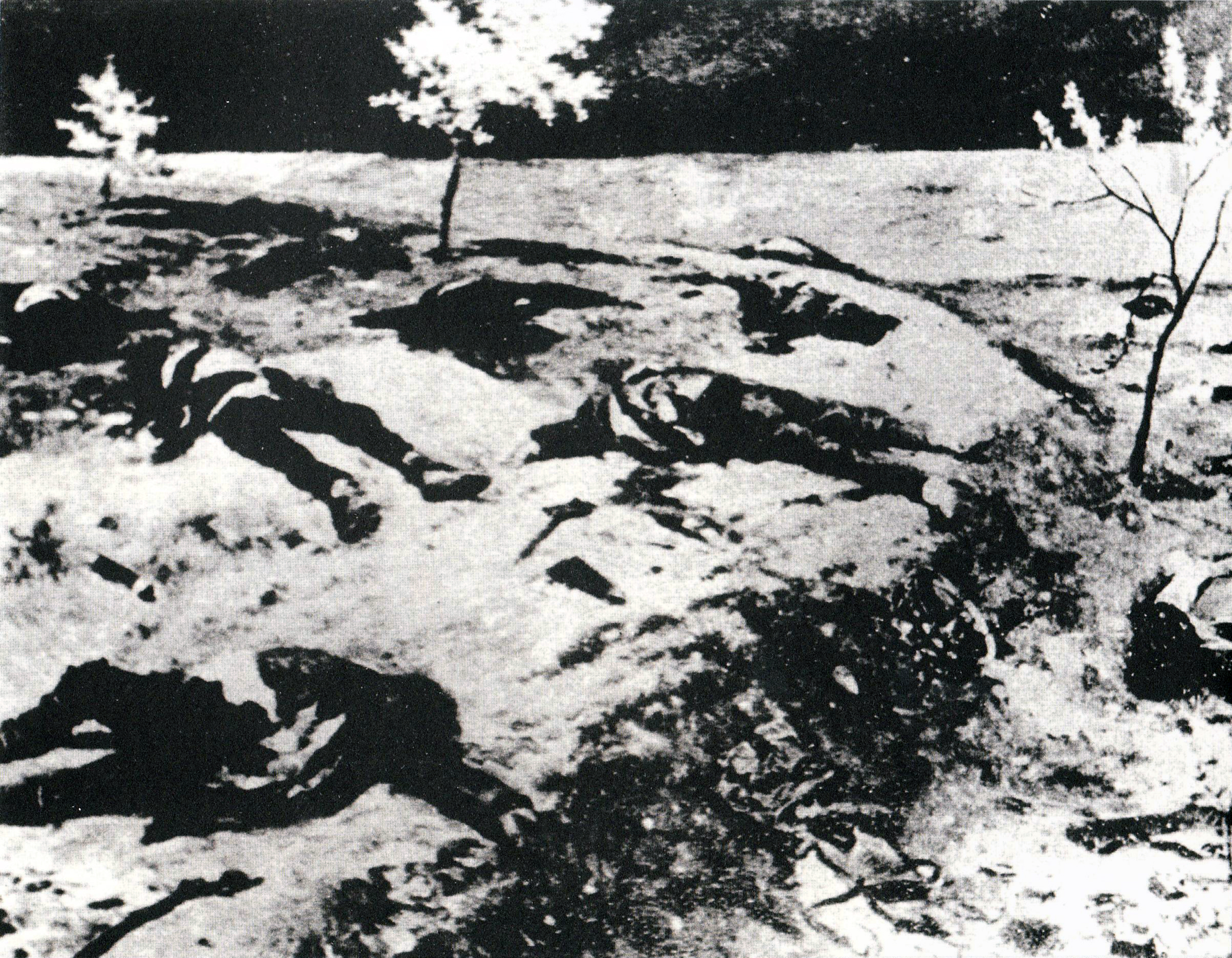 Foto 5.jpg